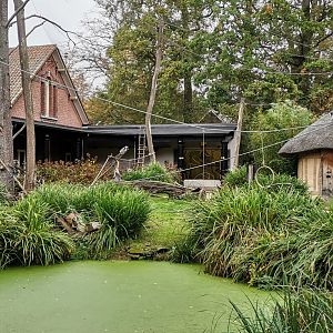 Lemur Walkthrough Exhibit