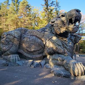 Oct. 2021 - Northern Trail - Zeus