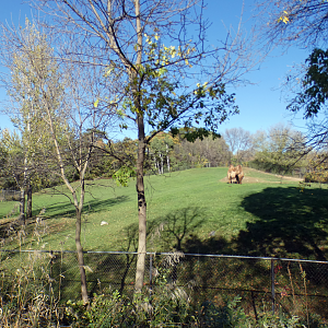 Oct. 2021 - Northern Trail - Asian Wild Horse/Bactrian Camel Exhibit (Rotate)