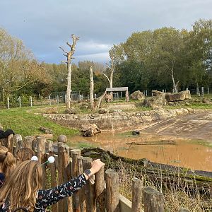 Rhino in upper paddock