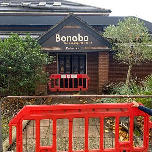 New bonobos house