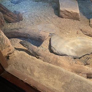 Tropical Hall - Argus monitor 210621