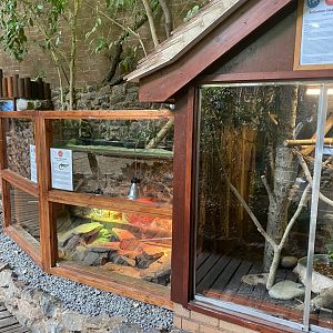 Tropical Hall - various reptile exhibits 210621