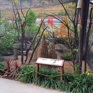 Aviary Australian birds in the Darwin Crater