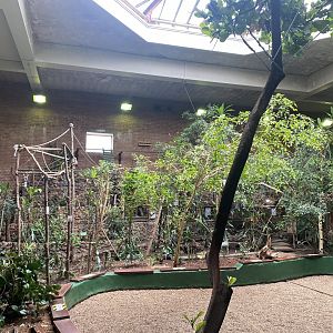 Tropical Hall 210621