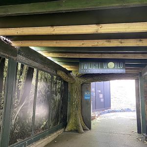 Entrance to Twilight World 010721