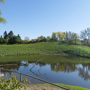 Oct. 2021 - Northern Trail - American Bison Exhibit (Half of It)