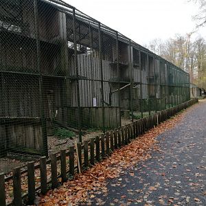 Birds of Prey Aviaries II