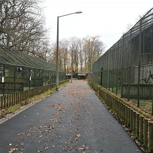 Birds of Prey Aviaries I