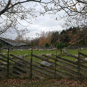 Tallinn Petting Zoo III
