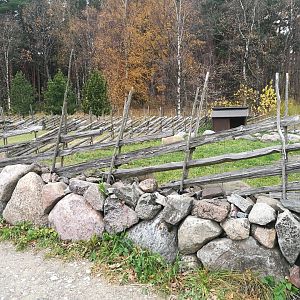 Tallinn Petting Zoo II