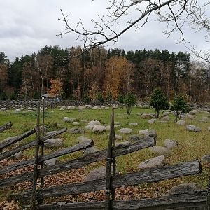Tallinn Petting Zoo I
