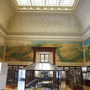 Crocodile Hall, 2021-10-20