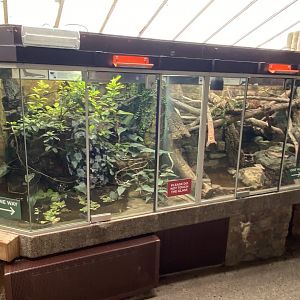 Reptile House - Exhibits 010721