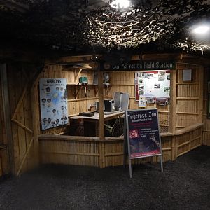 Gibbon Forest 020721