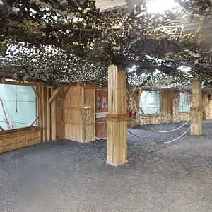 Gibbon Forest 020721