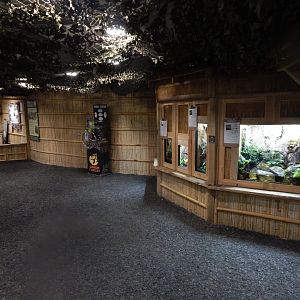 Gibbon Forest 020721