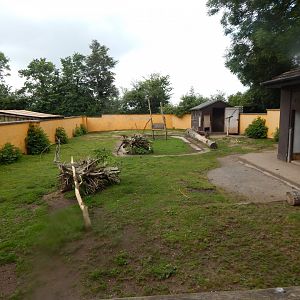 Red-necked wallaby enclosure 020721