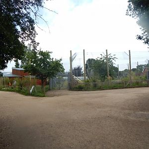 View towards Sumatran tiger enclosure 020721