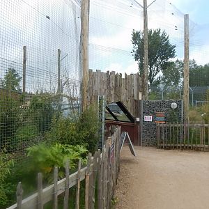 Sumatran tiger enclosure 020721