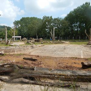 Eastern black rhinoceros enclosure 020721