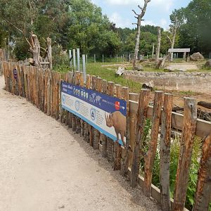 Eastern black rhinoceros enclosure 020721