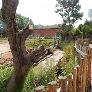 Eastern black rhinoceros enclosure 020721