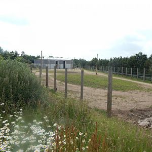 Reticulated giraffe enclosure 020721