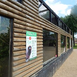 Red titi enclosure 020721