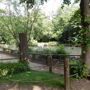 Flamingo exhibit 020721