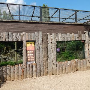 Amur leopard enclosure 020721