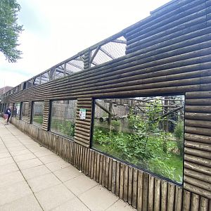 Black and gold howler monkey enclosure 020721
