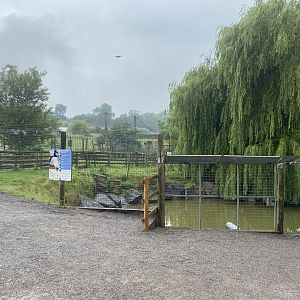 Waterfowl enclosures 240721