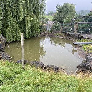 Waterfowl enclosure 240721