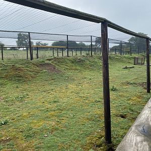 Prairie dog enclosure 240721