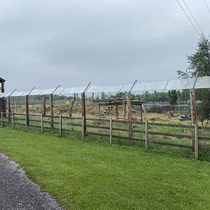 Spectacled bear enclosure 240721