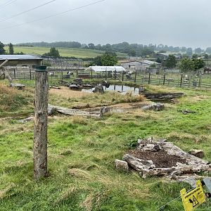 Spectacled bear enclosure 240721