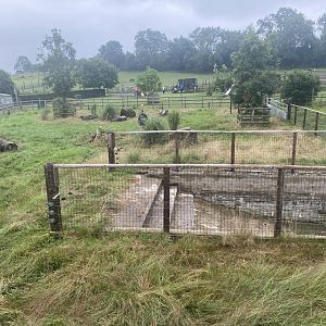 South American area enclosures 240721