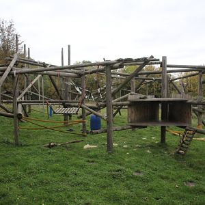Chimpanzee Enclosure at Dudley Zoo & Castle
