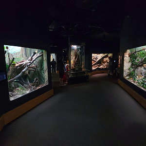 Oct. 2021 - Scaly, Slimy, Spectacular - Final Hallway