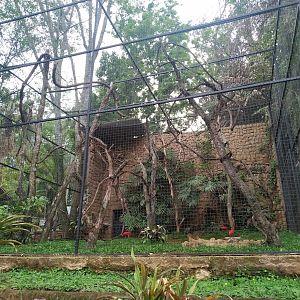 Scarlet Ibis Enclosure