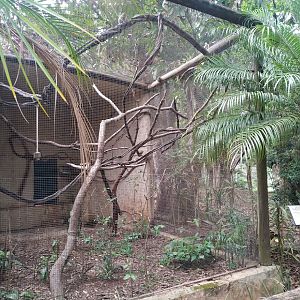 Pygmy Marmoset Enclosure