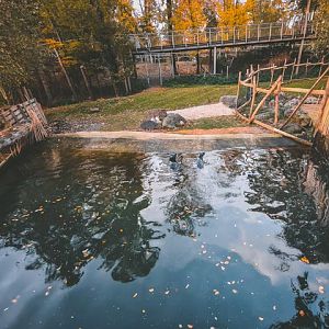 Seal in temporary enclousure