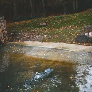 Seal in temporary enclousure