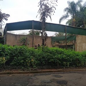 Side View of the Black Jaguar Habitat