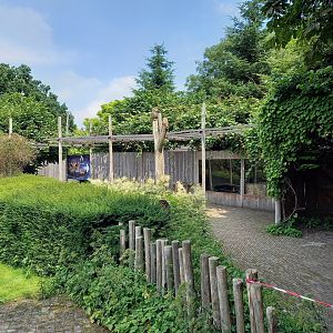 Way toward Owls and Kiwi-house