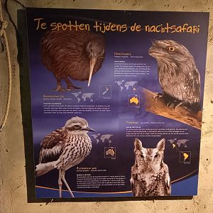 Species-sign Nocturnal ( Kiwi ) house