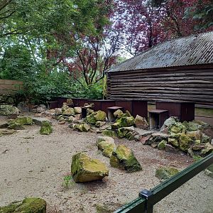Penguin nesting-area