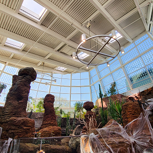 Oct. 2021 - Scaly, Slimy, Spectacular - Third Room