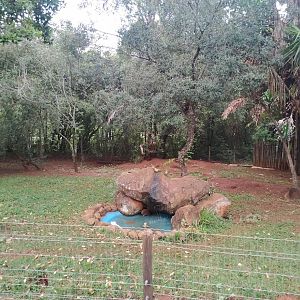Crab-Eating Fox Habitat